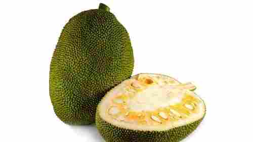 Jackfruit India