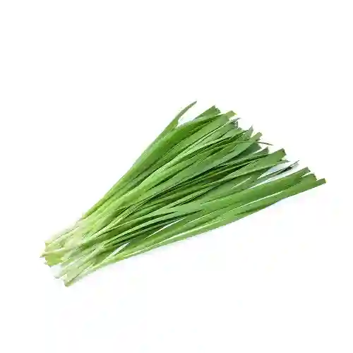 Fresh Chives